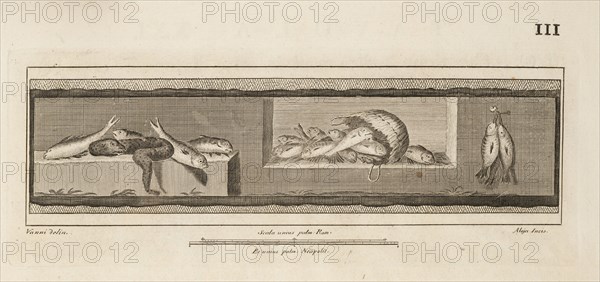 Tavola XXI, Delle antichità di Ercolano, Engraving, 1757-1792, Plate 21, located on page 111. Inscribed at lower left, Vanni