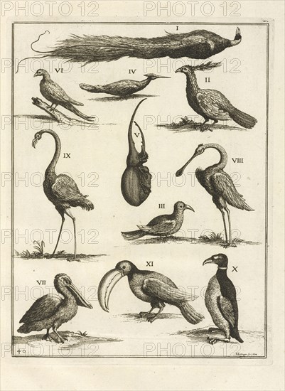 Plate 40, Le cabinet de la Bibliotheque de Sainte Genevieve: divisé en deux parties: contenant les antiquitez de la réligion