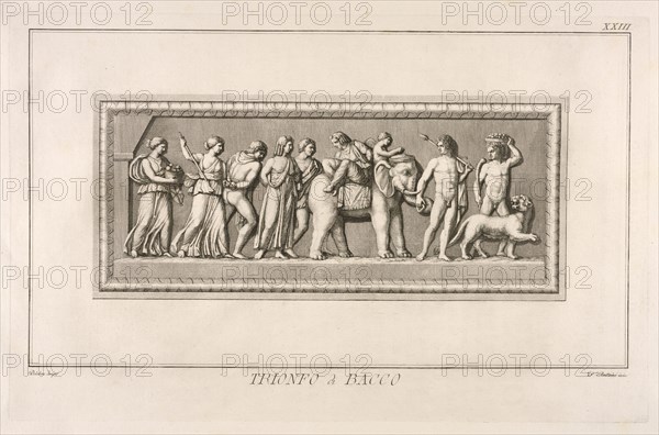 Trionfo di Bacco, Il museo Pio-Clementino, Visconti, Ennio Quirino, 1751-1818, Visconti, Giovanni Battista, d. 1722, Engraving