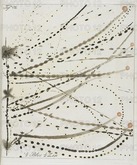 Plate 8: 1/2 Lead, 1/2 Tin, Beschreibung einer ungemein grossen Elektrisier-Maschine und der damit im Teylerschen Museum