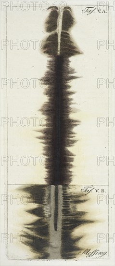 Plate 5, A. and B.: Brass, Beschreibung einer ungemein grossen Elektrisier-Maschine und der damit im Teylerschen Museum