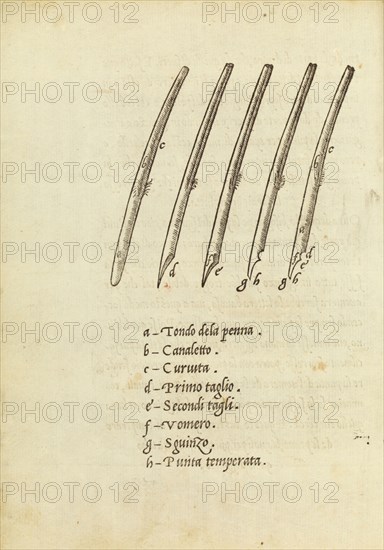 La operina di Ludouico Vicentino, da imparare di scriuere littera cancellarescha. Arrighi, Ludovico degli, Woodblock, 1522-1523