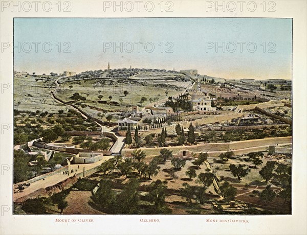 Album: flowers and pictures of the Holy Land, Boulos Meo, 1890s