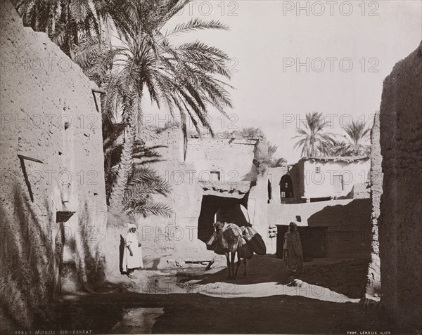 Views of Algeria, Le Roux, A., albumen, ca. 1880, views of urban and provincial Algerian sites including: Algiers, Bône