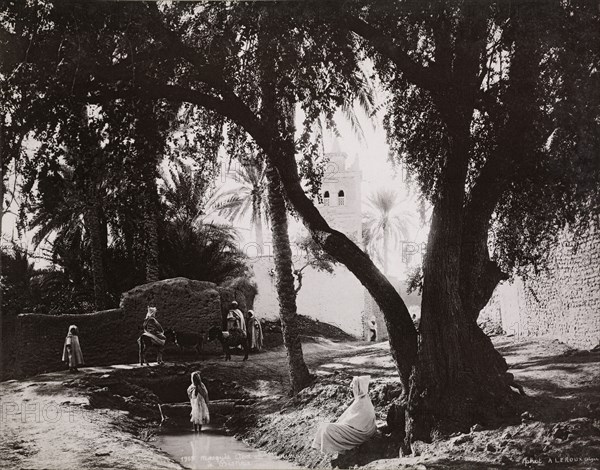 Views of Algeria, Le Roux, A., albumen, ca. 1880, views of urban and provincial Algerian sites including: Algiers, Bône