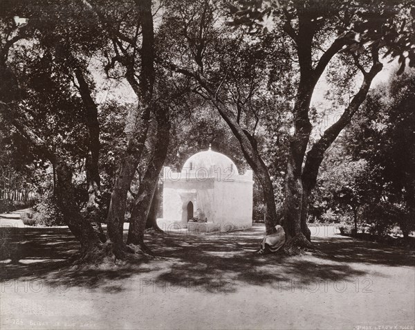 Views of Algeria, Le Roux, A., albumen, ca. 1880, views of urban and provincial Algerian sites including: Algiers, Bône