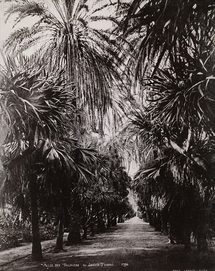 Views of Algeria, Le Roux, A., albumen, ca. 1880, views of urban and provincial Algerian sites including: Algiers, Bône