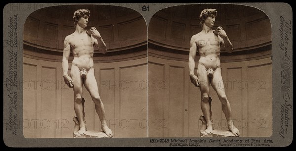 Academy of Fine Arts, Florence, Michelangelo's David, Academy of Fine Arts, Florence, Stereographic views of Italy