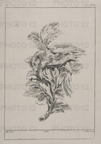 Plate C19 from the Livre de légumes inventées et dessinées par J. Me.r, Chedel, Pierre Quentin, 1705-1763, Huquier, Gabriel