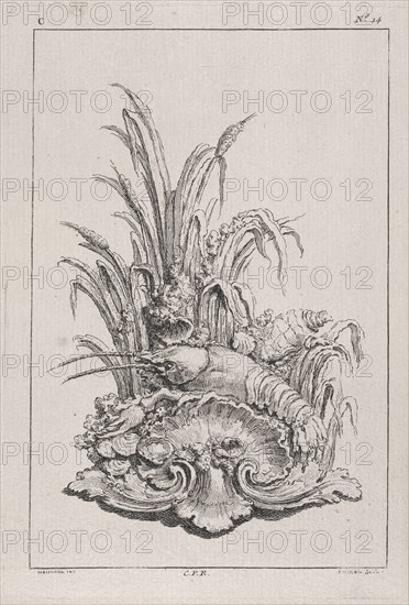 Plate C14 from the Livre de légumes inventées et dessinées par J. Me.r, Chedel, Pierre Quentin, 1705-1763, Huquier, Gabriel