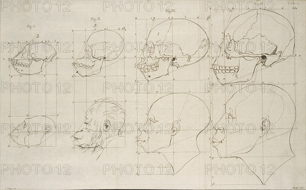 Tab. I, Dissertation sur les variétés naturelles qui caractérisent la physionomie des hommes des divers climats et des différens