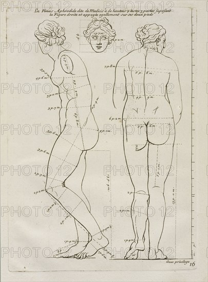 La Venus Aphrodide, Les proportions du corps humain: mesurées sur les plus belles figures de l'antiquité, Audran, Gérard, 1640