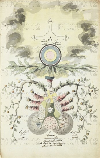 Omnia ab uno natura prima materia, F. de la Rose-Croix, Manly Palmer Hall collection of alchemical manuscripts, 1500-1825
