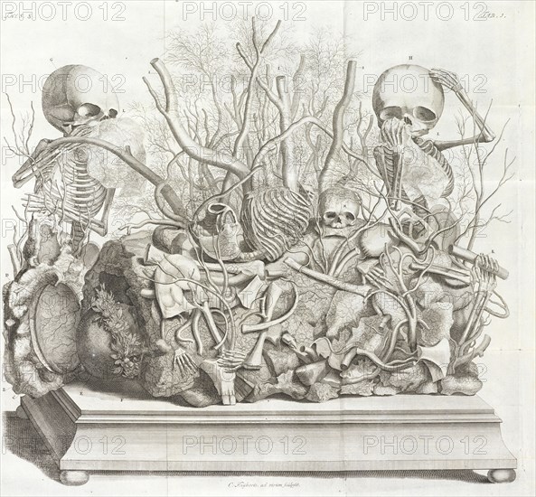 Diorama of fetal skeletons arranged with various internal organs, Frederici Ruyschii anatomes and botanices professoris