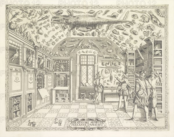 Ritratto del Museo di Ferrante Imperato, Historia natvrale, Imperato, Ferrante, 1550-1625, Copperplate engraving, 1672