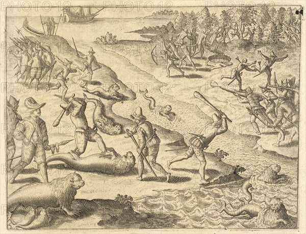 Spanish soldiers killing sealions, Americae pars VIII., Bry, Johann Theodor de, 1561-1623?, Engraving, M.DC.XXV, 1625