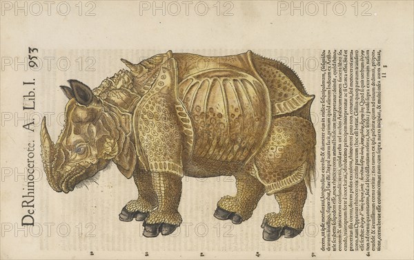 De rhinocerote, Historiæ animalivm, Gesner, Konrad, 1516-1565, Letterpress, woodcut, hand-colored, 1551