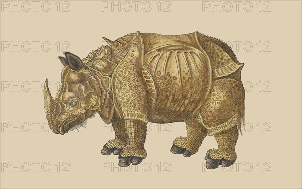 De rhinocerote, Historiæ animalivm, Gesner, Konrad, 1516-1565, Letterpress, woodcut, hand-colored, 1552