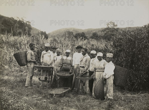 Coffee plantation workers, photograph of nineteenth-century Brazil, Ferrez, Marc, 1843-1923, 1885