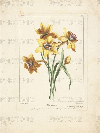 Narcisse, Caillou, Marguerite, d. 1755, Chevillet, Justus, 1729-1802, Tessier, Louis, Engraving, hand-colored