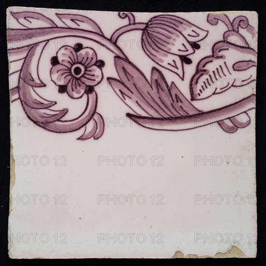 Border tile, purple on lilac fond with sling decor of tulip, flower with five oval petals, leaves, type of tulip fawn on whole