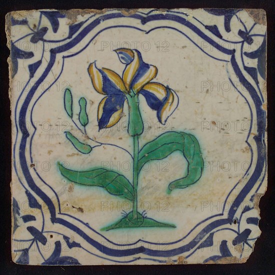 Tile, flower on plot in blue, green, and yellow on white, inside frame with accolades, corner motif, wing, wall tile