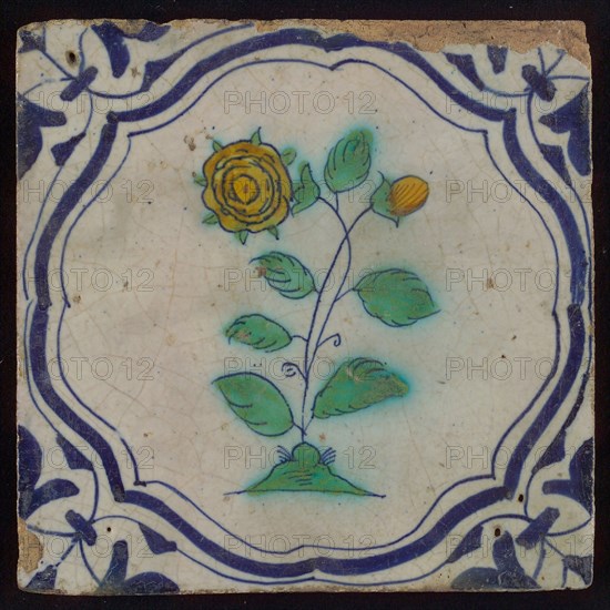 Tile, flower on plot in blue, green, and yellow on white, inside frame with accolades, corner motif, wing, wall tile