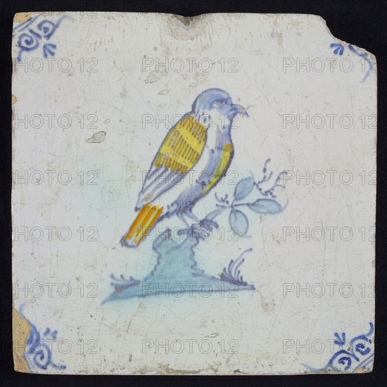 Animal tile, bird on branch to the right in yellow, orange, green and blue on white, corner pattern ossenkop, wall tile