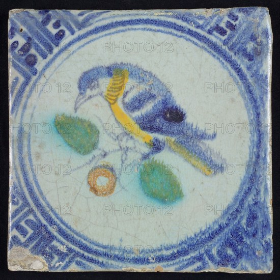 Animal tile, bird on branch to the left in yellow, orange, green and blue on white, inside circle, corner pattern meanders, wall