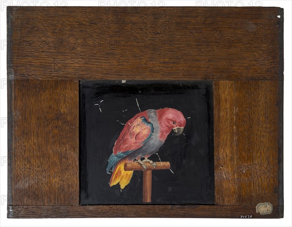Hand-painted glass plate in wooden frame for illumination cabinet, with image of parrot on stick, slideshelf slideshoot images