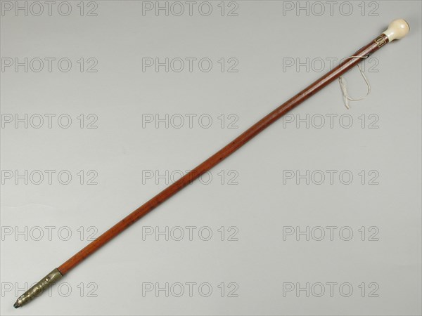 Walking stick by Nicolaas Montauban van Swijndregt, walking stick wood ivory metal brass iron, walking stick with wooden