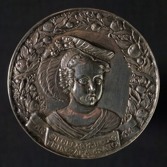 P. van Abeele, Medal on Prince William III, penning footage silver, grams, bust Prince William III with hat surrounded by fruit