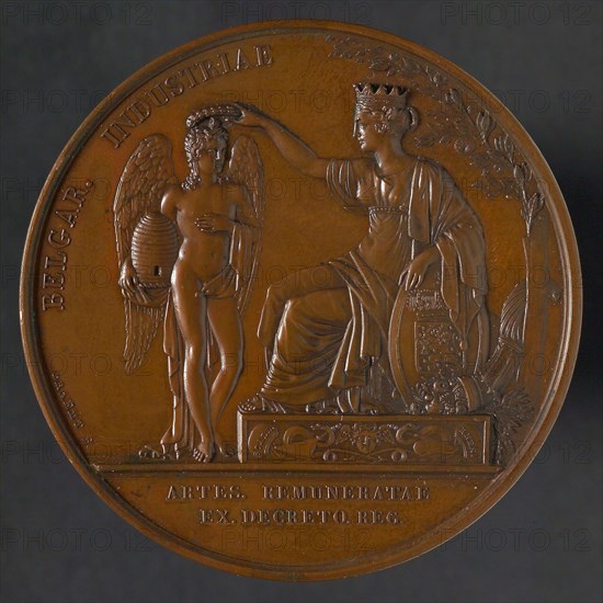 Braemt F., Price medal for the Dutch industry at the Exhibition in Haarlem, price medal medal bronze bronze figure 5,9, The city