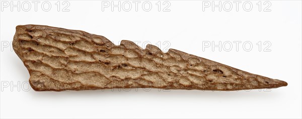 Legs pointed with three barbs, pointed harpoon soil found bone, sawn cut cut Late stone age archeology Maglemose culture