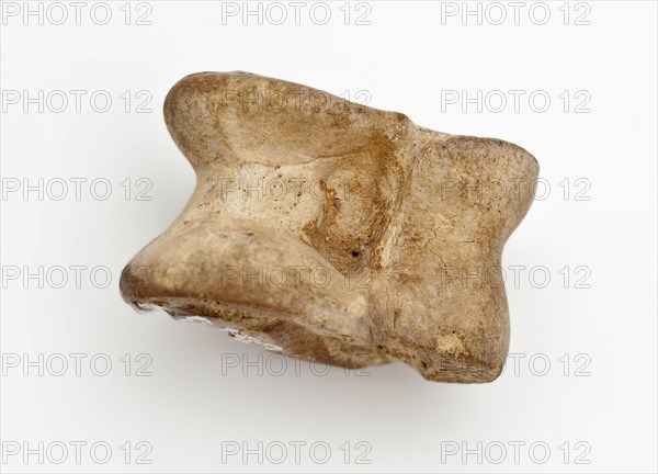 Hip bone of goat or sheep, part of the game of bibel, bickle game ground find leg, archeology Rotterdam Kralingen-Crooswijk