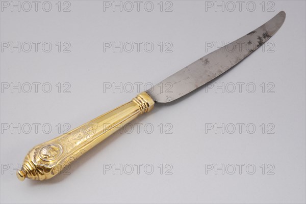 Gilt knife, knife cutlery silver gold iron, forged gilt Heft blade. With embossed oval medallion band work. Pine cone BW in oval