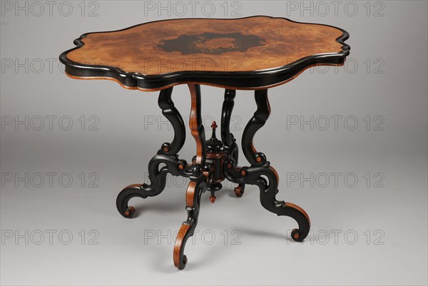 Fa. Johann Diedrich Schmidt & Co. en Cord Heinrich Schmidt, Neo-rococo spinnekop table, table furniture interior design wood