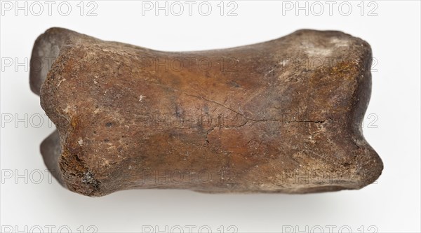 Digit from cow's leg, part of throwing game: flocks, koot game piece relaxant soil find lead leg metal, Bone