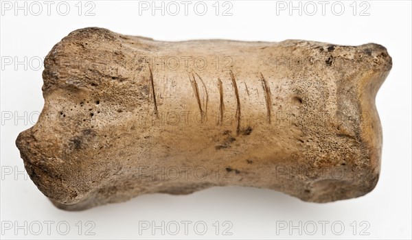 Digit from cow's leg, part of throwing game: flocks, koot game piece relaxant soil find leg, Bone marked, five lying grooves