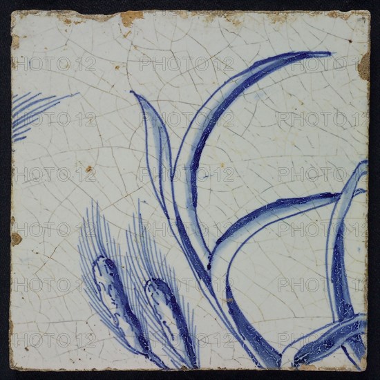 Blue tile with ear of corn, of chimney pilaster with 39 tiles, tile pilaster footage fragment ceramic pottery glaze, Nine blue