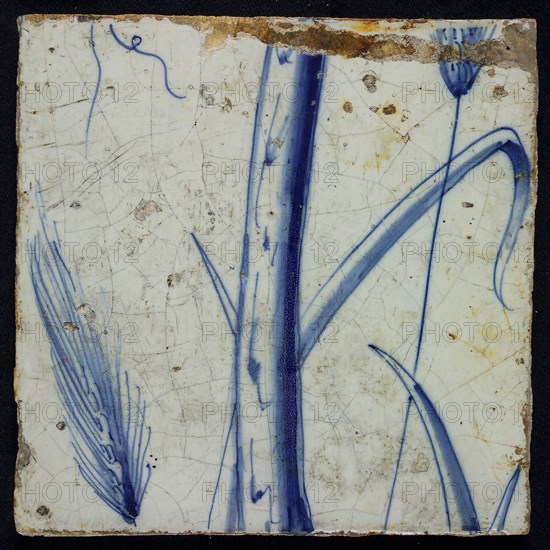 Blue tile with stem, leaves, ears of corn, of pilaster with 13 tiles, tree of bunches of grapes with birds, spider, grain