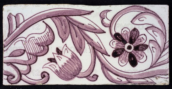 Rectangular edge tile in purple with hinged decor of tulip, with flower of ten oval petals, leaves, type of tulip fawn, yellow