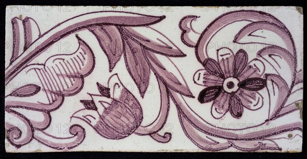 Rectangular edge tile in purple with hinged decor of tulip, with flower of ten oval petals, leaves, type of tulip fawn, yellow