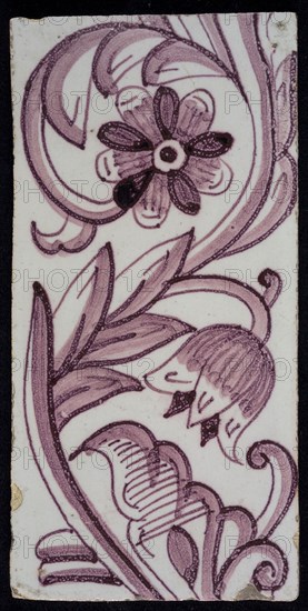 Rectangular edge tile in purple with hinged decor of tulip, with flower of ten oval petals, leaves, type of tulip fawn, yellow