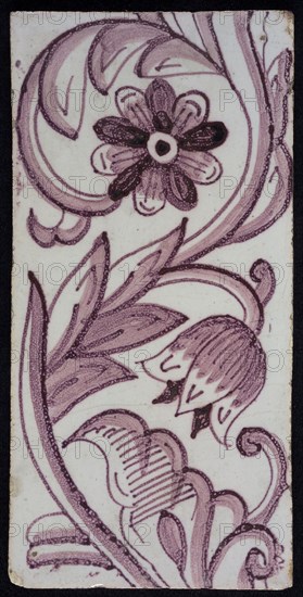 Rectangular edge tile in purple with hinged decor of tulip, with flower of ten oval petals, leaves, type of tulip fawn, yellow