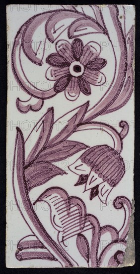 Rectangular edge tile in purple with hinged decor of tulip, with flower of ten oval petals, leaves, type of tulip fawn, yellow