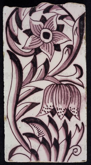 Rectangular edge tile in purple with sling decor of speckled tulip, flower with ten triangular petals, leaves, type of tulip