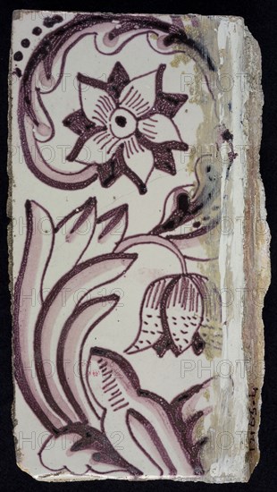 Rectangular edge tile in purple with sling-decoration of speckled tulip, flower with ten triangular petals
