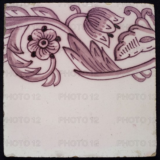 Border tile, purple on lilac fond with sling decor of tulip, flower with five oval petals, leaves, type of tulip fawn on whole