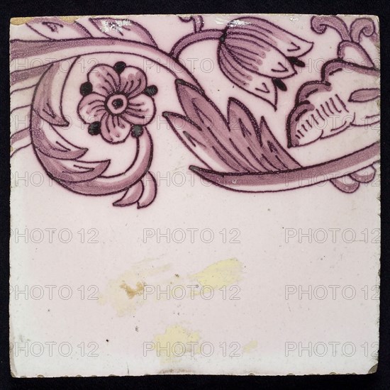 Border tile, purple on lilac fond with sling decor of tulip, flower with five oval petals, leaves, type of tulip fawn on whole